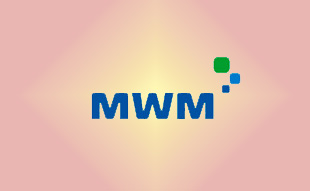 ✓ MWM 1180993 Кольцо уплотнительное 